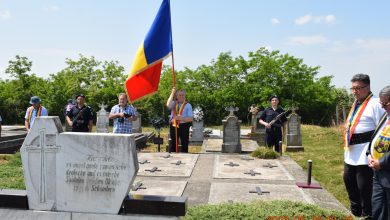 Activități de comemorare la Beltiug și Șandra