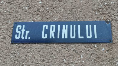 Decopertare asfalt pe strada Crinului din Satu Mare