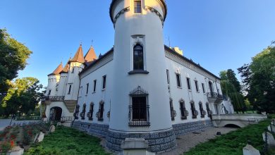 Castelul Károlyi din Carei