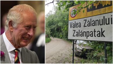 Regele Charles al III-lea la un picnic în Valea Zălanului