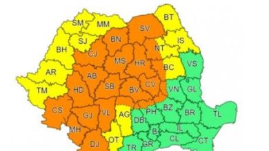 vreme rea