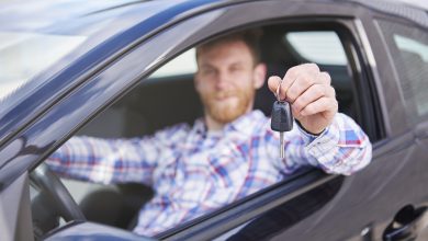 Polițiști de frontieră verificând un șofer