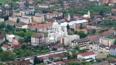 Festival Zestrea Oașului