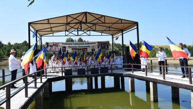 Afis festival Viei si Vinului Beltiug
