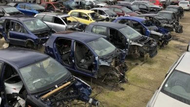 firma dezmembrari auto