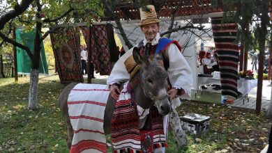 Festival folcloric Nicoale Sabău