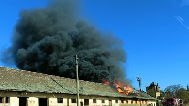 incendiu Carei