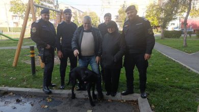 caine regasit stapan
